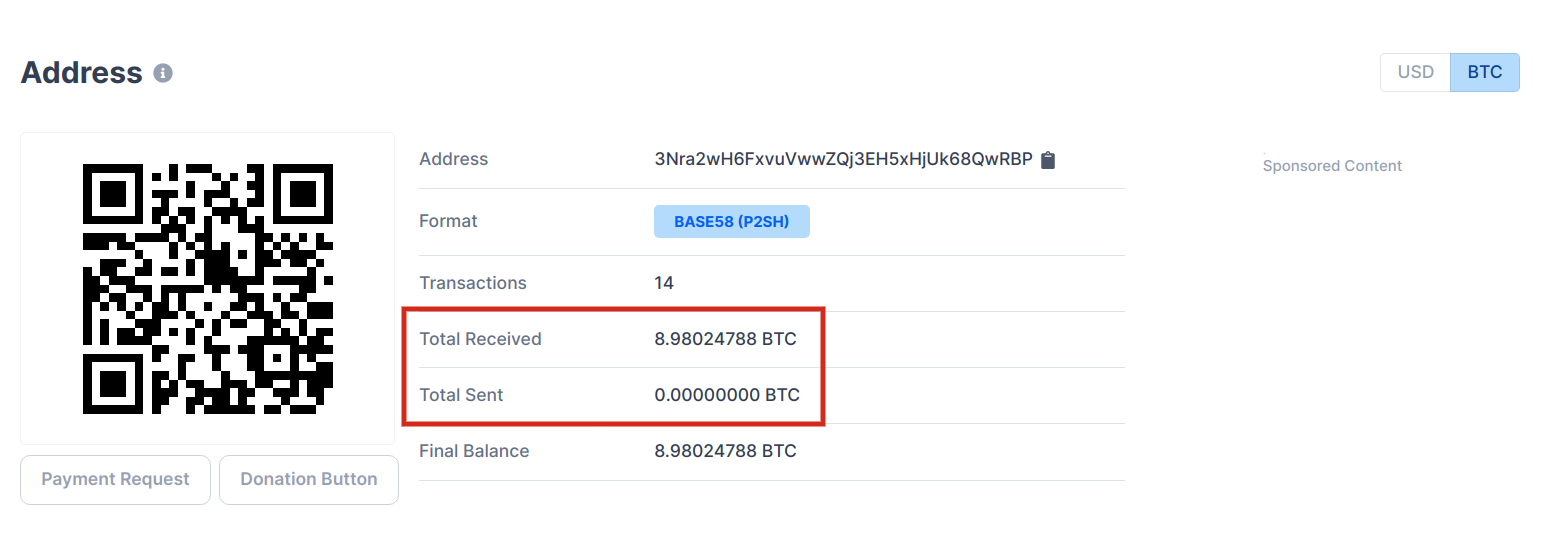 SpaceX Bitcoin Giveaway?
