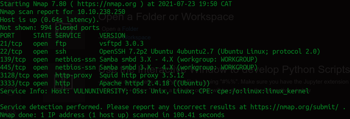 Nmap Output